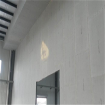 盐亭宁波ALC板|EPS加气板隔墙与混凝土整浇联接的实验研讨